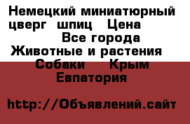 Немецкий миниатюрный(цверг) шпиц › Цена ­ 50 000 - Все города Животные и растения » Собаки   . Крым,Евпатория